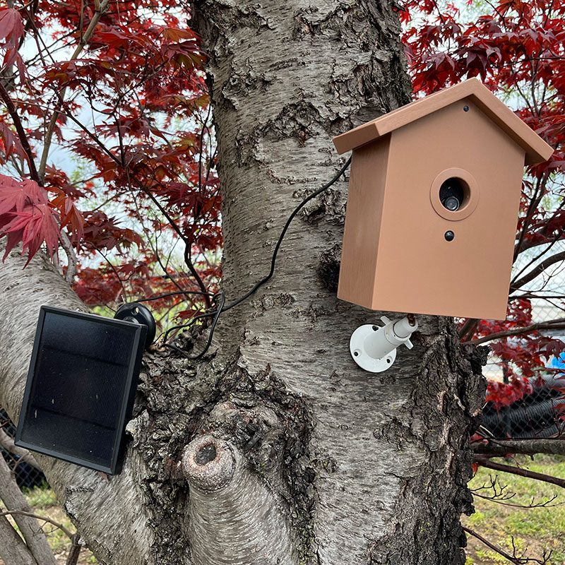 SG Xtreme Life Solar Wi-Fi Birdhouse