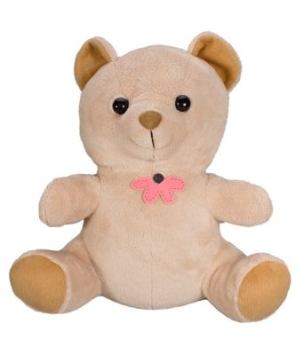 SGTB Teddy Bear Camera Front View